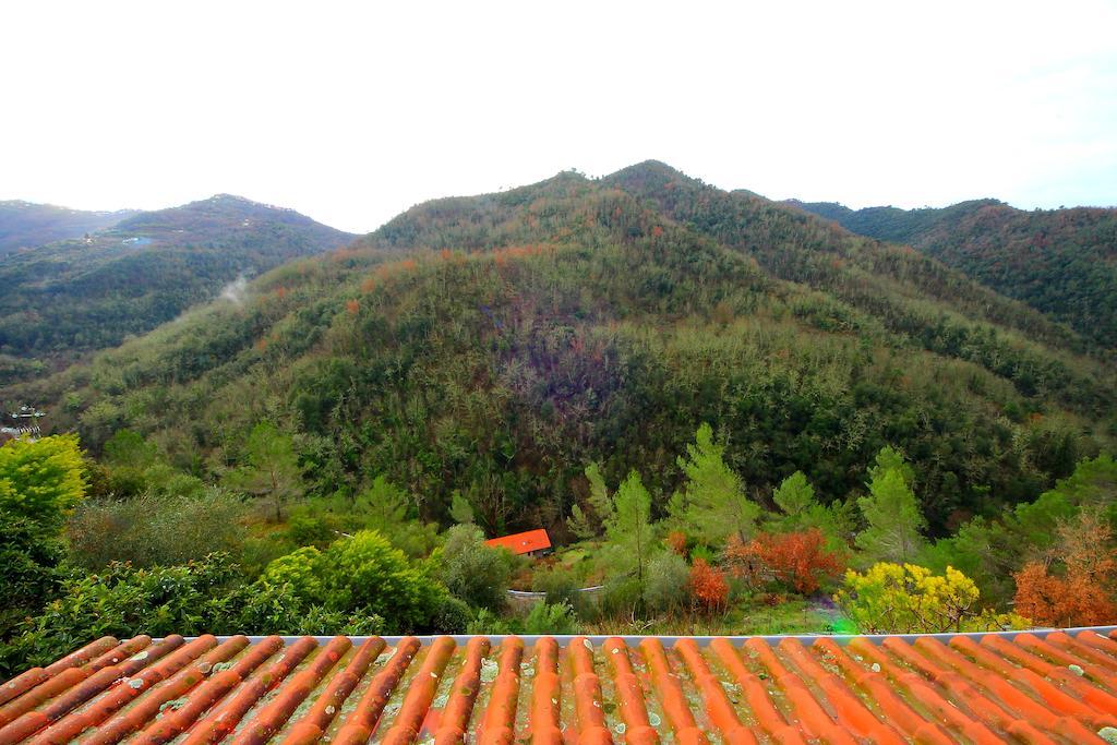 La Favorita Apricale B&B & Ristorante Oda fotoğraf